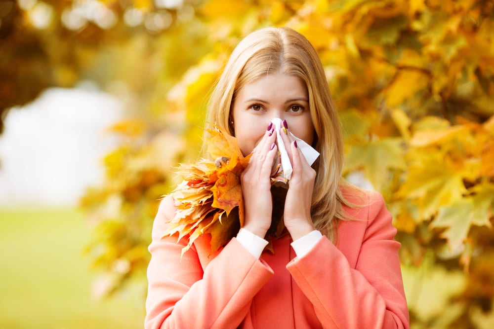 Fall Allergies: Clean Up, Close Down, Suffer Less