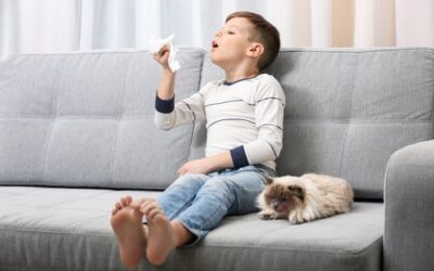 Will HVAC Cleaning Help with Allergies? What Else Can Be Done to Mitigate Allergies?