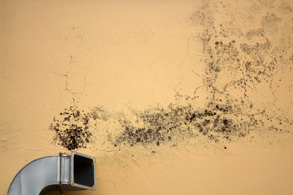 Air Duct Cleaning for Mold Prevention What Every Home & Business Needs to Know