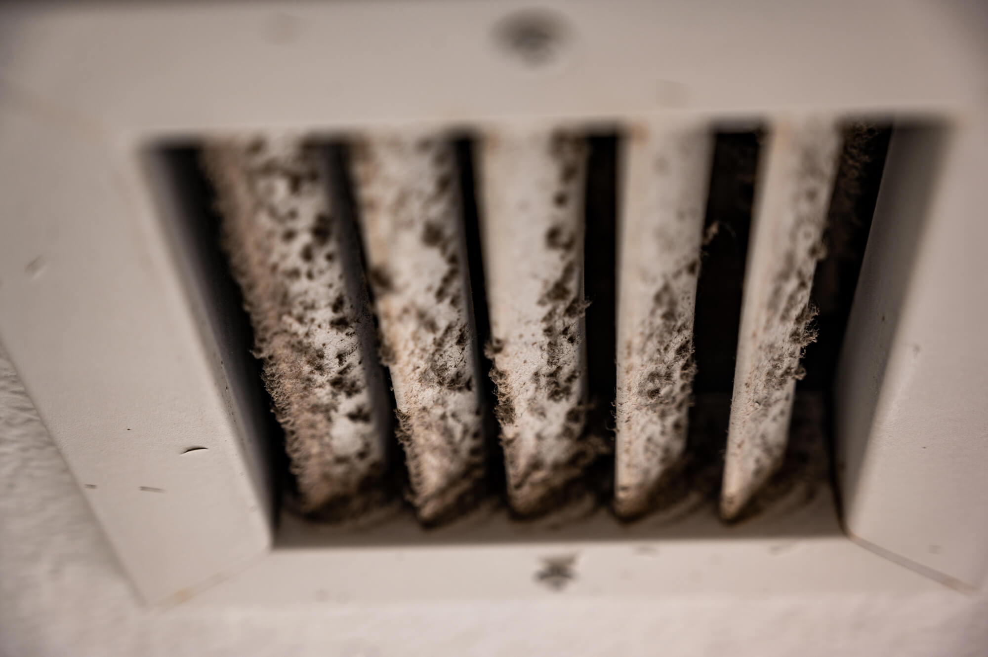Emergency Duct Cleaning Services Everything You Need to Know