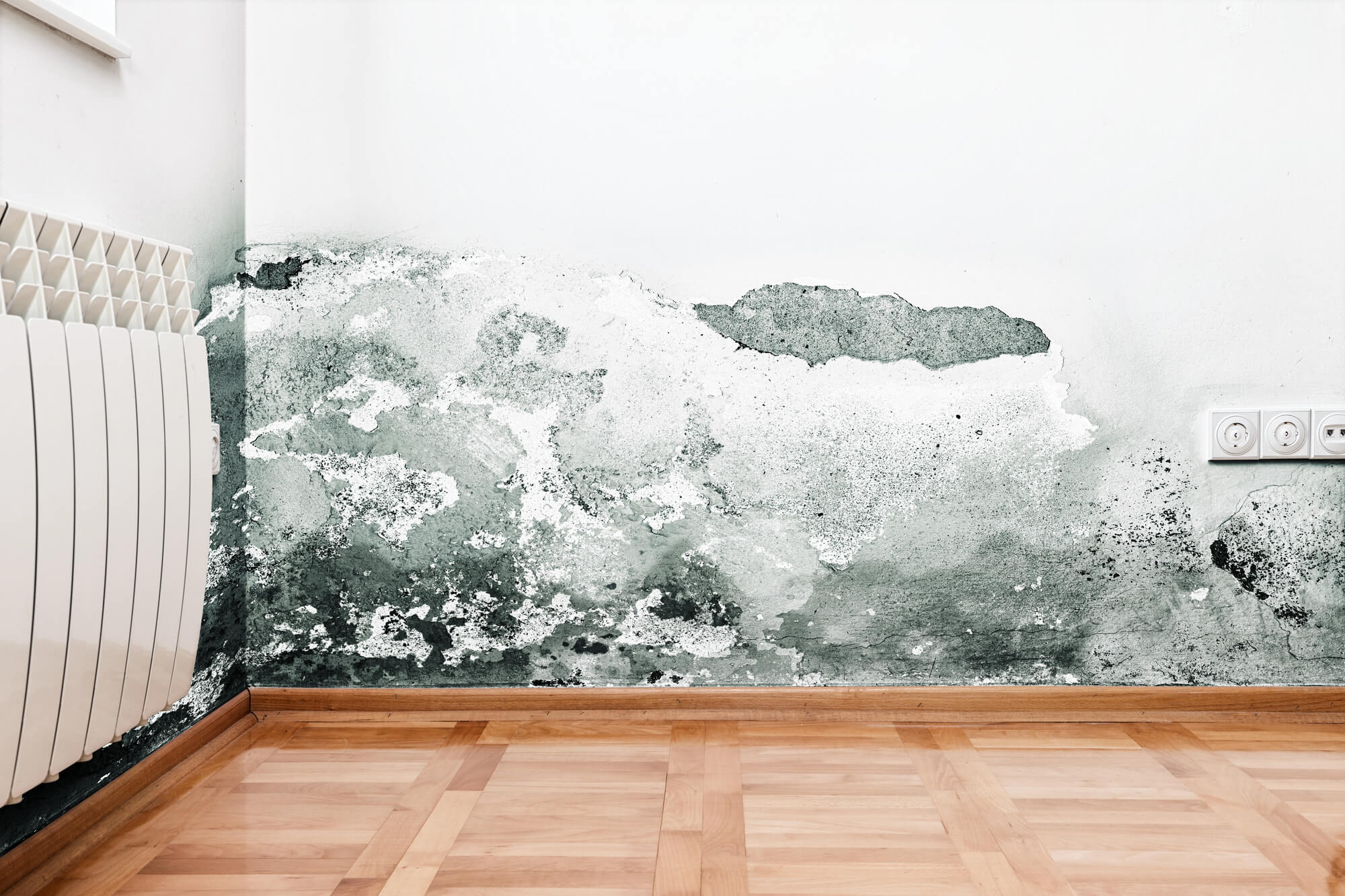 How Humidity Affects Your Indoor Air Quality