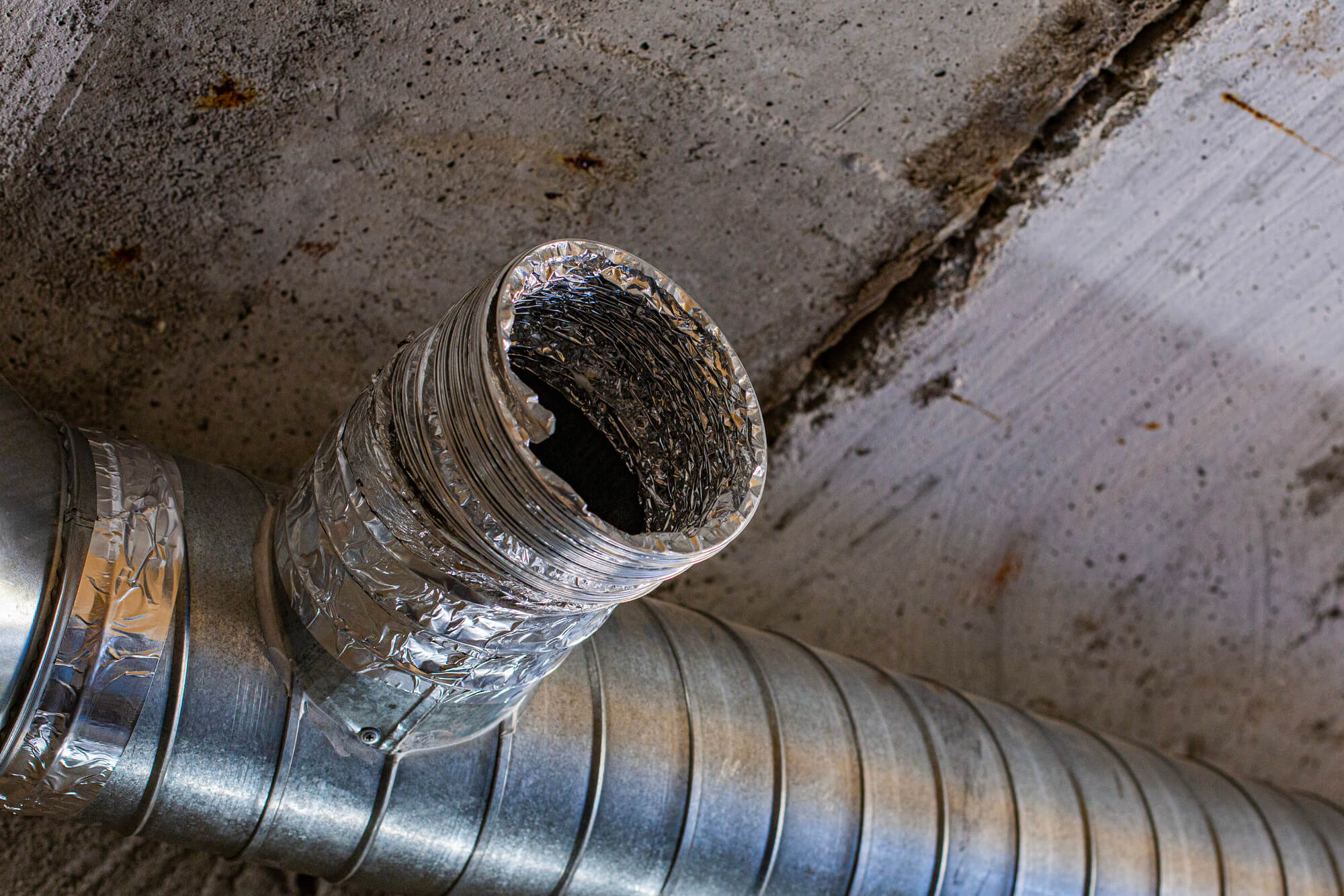 Bugs in Air Ducts